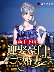 高手下山迎娶豪门未婚妻全文阅读txt