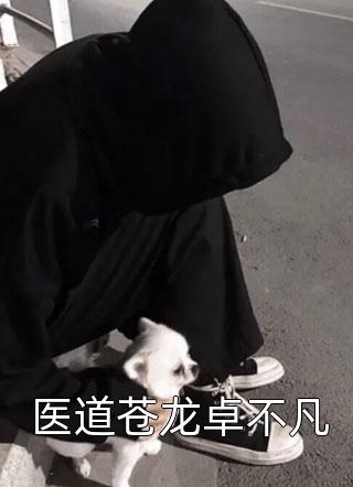 无弹窗战国:从长平之战开始成战神