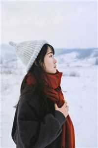 穿入红楼林家赘婿是太子无弹窗