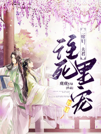 二嫁妇，夫君往死里宠免费阅读