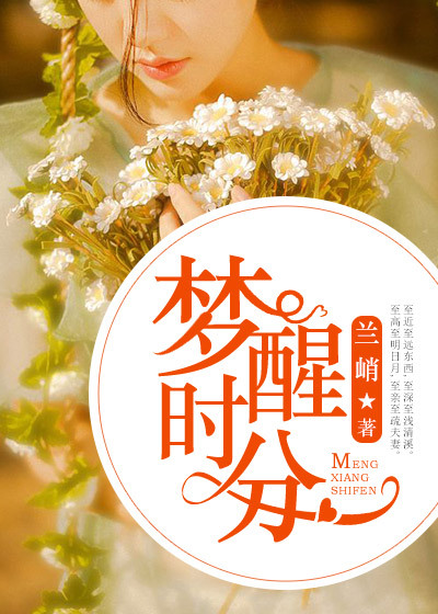 小说全集梦醒时分