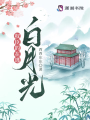 权臣的在逃白月光小说全集