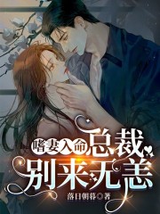 无弹窗嗜妻入命:总裁别来无恙