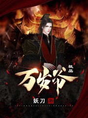 小说极品万岁爷
