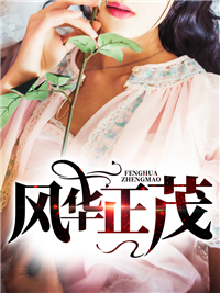 全集风华正茂