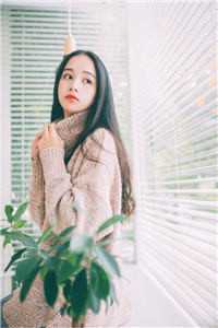 小说全集通天少主