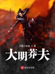 重生之大明王侯大结局