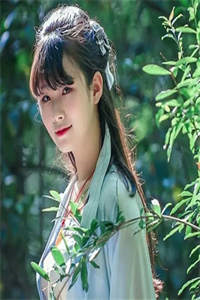 华夏守墓人全集
