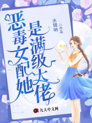 恶毒女配她是满级大佬全集