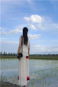 闪婚，便宜老公是隐形大佬免费阅读全集