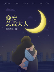 晚安,总裁大人大结局