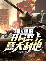 抗日：开局怒上意大利炮小说