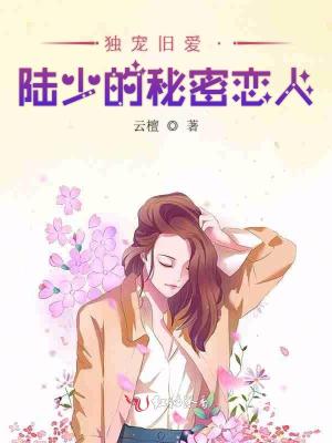 独宠旧爱·陆少的秘密恋人全文阅读