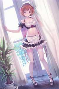 大理客栈：我的绝美女租客小说