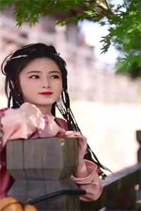 傻子神医：未婚妻她不离不弃小说