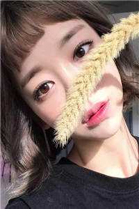 小说全集种田：捡个相公有权有钱又有颜