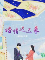 婚情迟迟来全文阅读