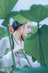 新婚后，小娇包她甜香诱人免费