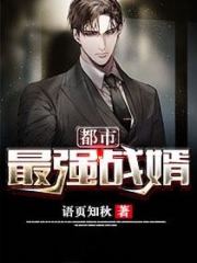 都市最强战婿无弹窗