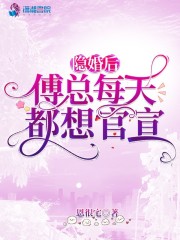 免费阅读隐婚后，傅总每天都想官宣