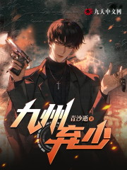 大结局九州弃少
