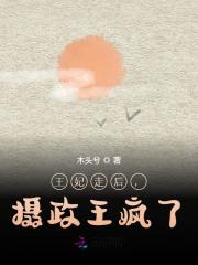 王妃走后，摄政王疯了免费试读