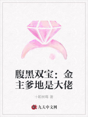 腹黑双宝:金主爹地是大佬全文阅读