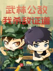 武林公敌，我杀敌证道小说