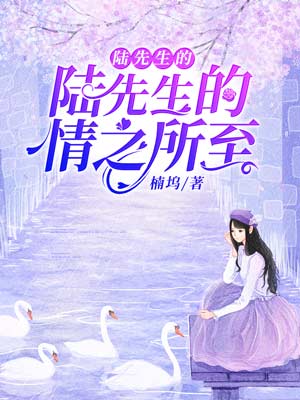 陆先生的情之所至全文阅读