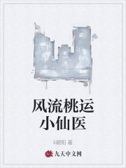 风流桃运小仙医全集