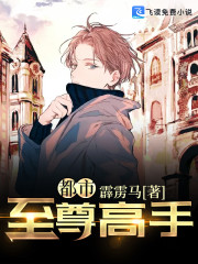 大结局都市至尊高手