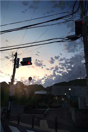 洛鸢陆允晗全文阅读