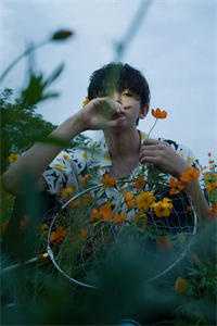 没有情史的男人全集