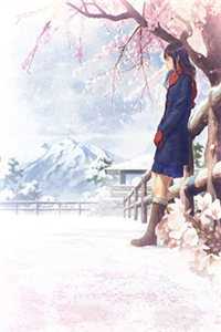 全章节错嫁时节又逢君