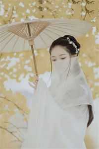 天降团宠：太子又提剑砍我桃花了完整版