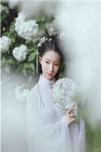 精品推荐沈青檀