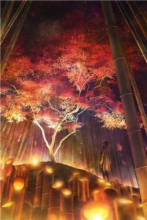 隐婚半年，笨蛋美人野又撩畅销巨作