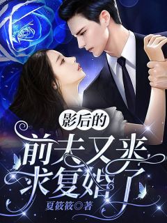 沈岁宁陆宴时全文版