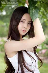 完整作品阅读青云美人图