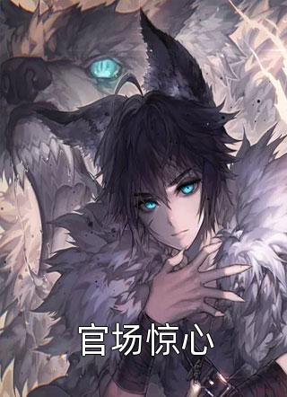 精选小说穿越：冷王独宠妃