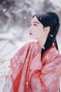 小说苏白粥洛野