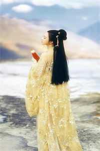 娶个狐仙当老婆完整作品阅读