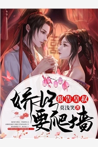 婚姻迷城完整阅读