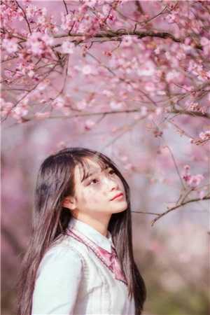 快穿：炮灰家主开局就拥千幻灵瞳全文浏览