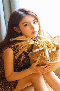 精品全集王爷在下：女婢她绝世无双