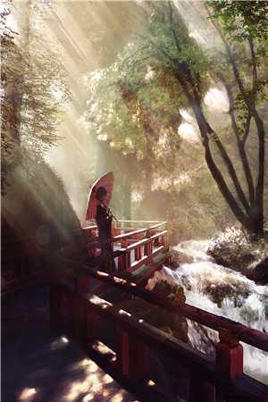 全本小说误情