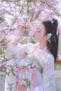 嫡女重生：我被王爷宠成小祖宗高质量小说