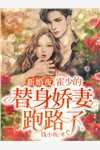唤醒特种兵召唤系统，哥要夷平缅北全文浏览
