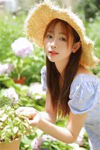 官海沉浮之美人泪