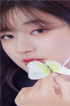 四合院：贾张氏是我的堂姐